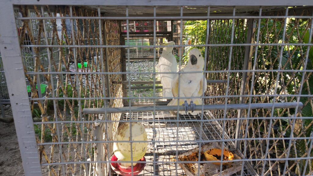 whatsapp image 2025 07 14 at 14.46.06