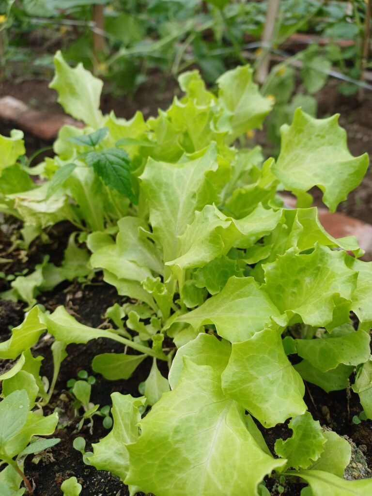 ce26dd3a 5cdb 4969 bd92 aea0634a2b84